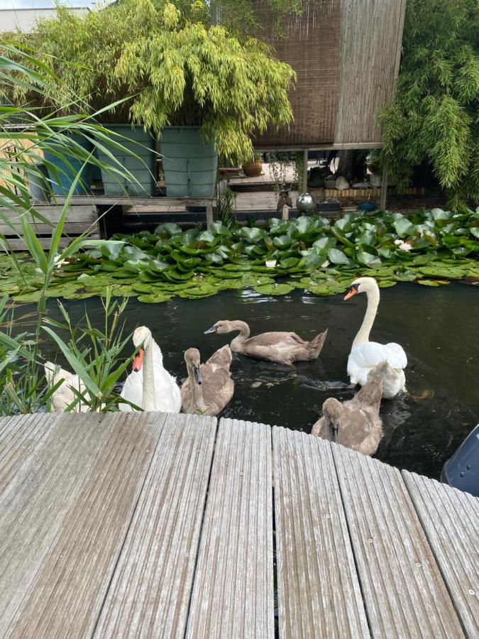 Bed and Breakfast Casa Di Maksch De Miniatura Amsterdam Zewnętrze zdjęcie